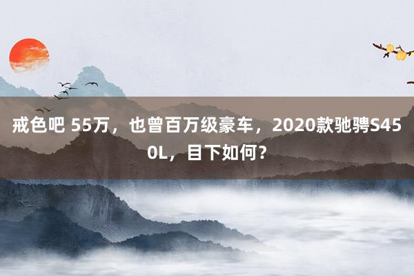 戒色吧 55万，也曾百万级豪车，2020款驰骋S450L，目下如何？