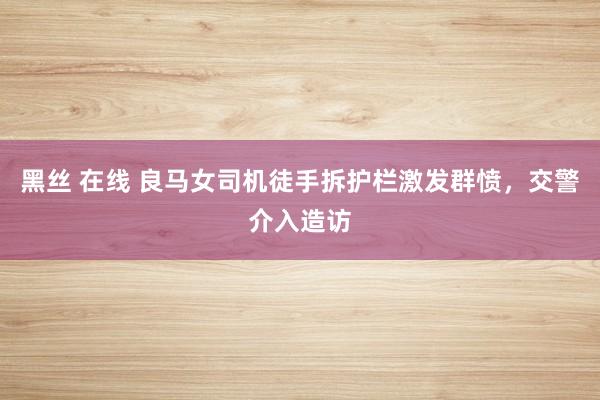 黑丝 在线 良马女司机徒手拆护栏激发群愤，交警介入造访