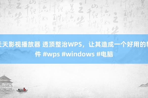 天天影视播放器 透顶整治WPS，让其造成一个好用的软件 #wps #windows #电脑