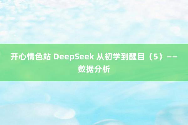 开心情色站 DeepSeek 从初学到醒目（5）——数据分析