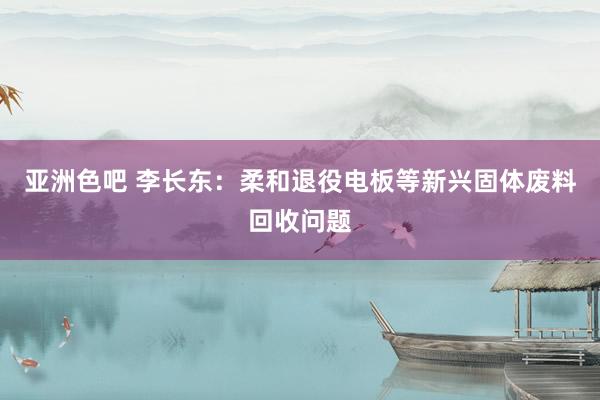 亚洲色吧 李长东：柔和退役电板等新兴固体废料回收问题