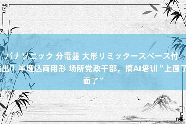パナソニック 分電盤 大形リミッタースペース付 露出・半埋込両用形 场所党政干部，搞AI培训“上面了”