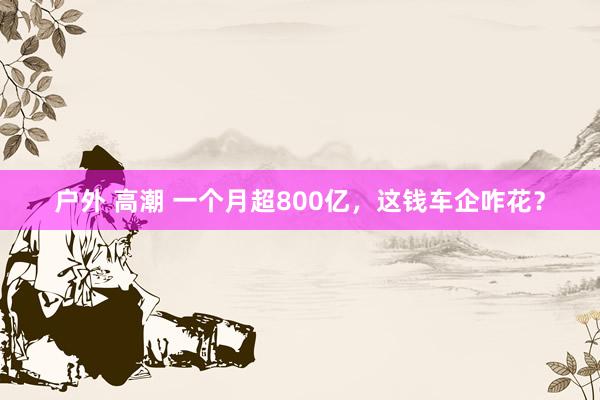 户外 高潮 一个月超800亿，这钱车企咋花？